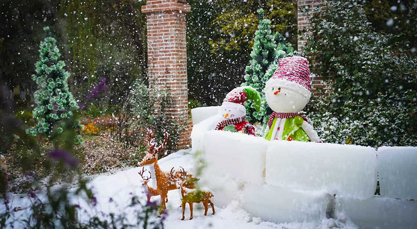 苏州中国花卉植物园