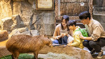 Zoolung Zoolung室内萌宠乐园(HANAM分店)