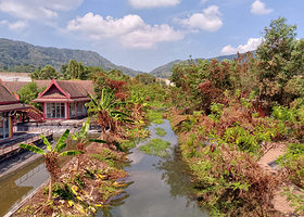 Freedom Elephant Reserve Phuket