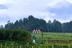 高黎贡荒野厨房