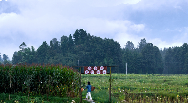 高黎贡荒野厨房