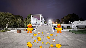 小黄鸭汤泉水上世界