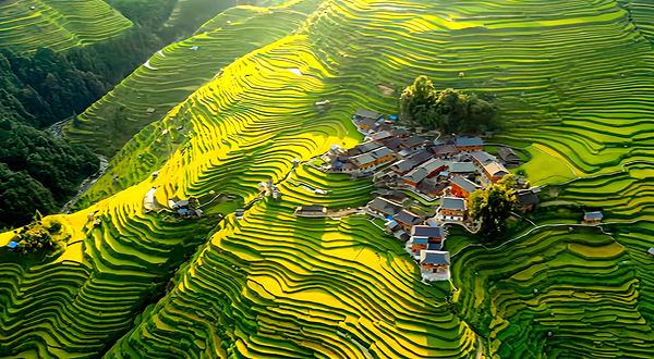 加榜梯田