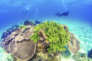 海底天宫探奇潜水