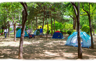 南宫苑营地乐园