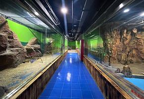 临汾海昌海洋探索馆