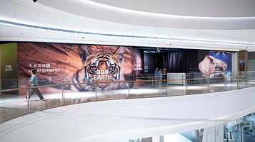 【天津站】BBC Earth 生灵奇迹展