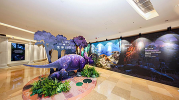 生命的纪元 Life Chronicles