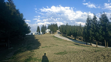 水城国家杜鹃公园