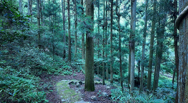 瑶琳国家森林公园