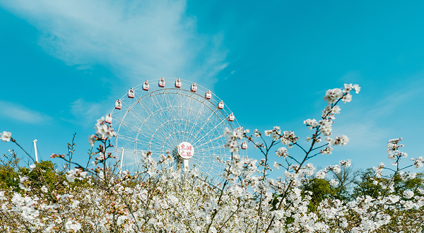 东湖之眼摩天轮