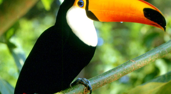 名护自然动植物园