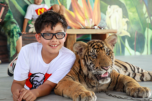 大城狮子王动物园