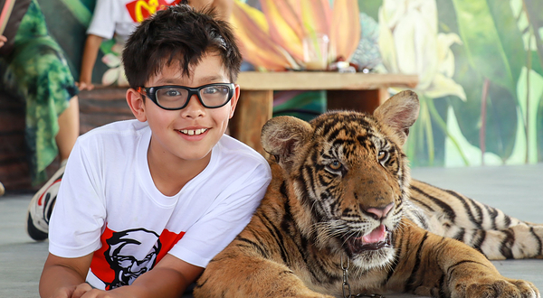 大城狮子王动物园