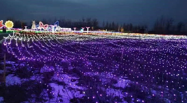 深州市登高家庭农场