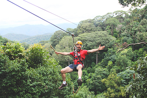 Jungle Flight丛林飞跃