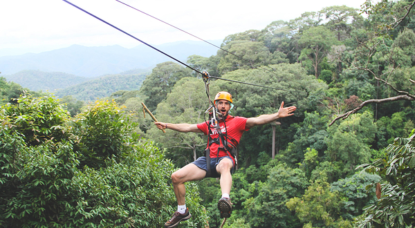 Jungle Flight丛林飞跃