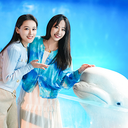 海合安天津极地海洋公园