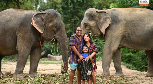 Elephant Jungle Sanctuary Pattaya (Camp 1)