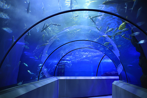 龙门海洋馆