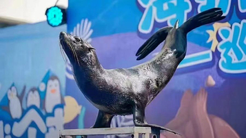 东湖公园冰雪嘉年华