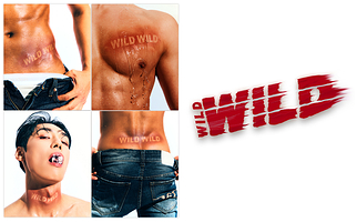 Wild Wild 猛男秀