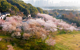 苏州上方山国家森林公园