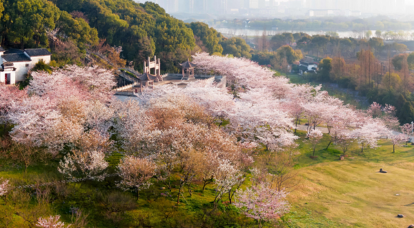 苏州上方山国家森林公园