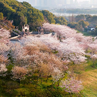 苏州上方山国家森林公园