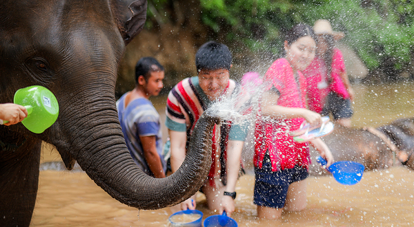 清迈美旺可巧大象生态公园