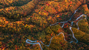 米仓山国家森林公园