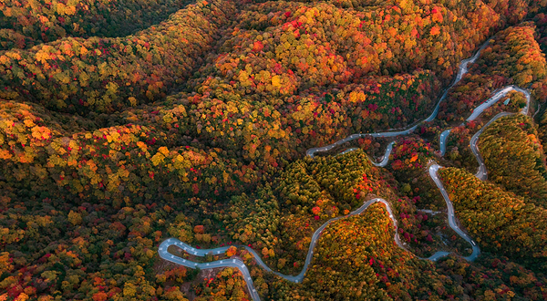 米仓山国家森林公园