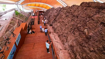 云阳恐龙地质公园