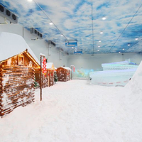 冰花雪粤·梦里雪乡