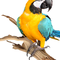 Conservation park zoo