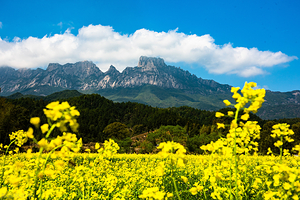 灵山风景区