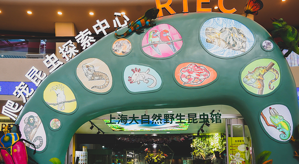 上海大自然野生昆虫馆(东方明珠•爬宠昆虫探索中心)