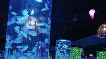 水母海洋馆