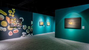 中国国家地理·探索 极致发现科学艺术影像展(河北首展)