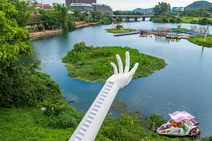 酷浪岛·水森林