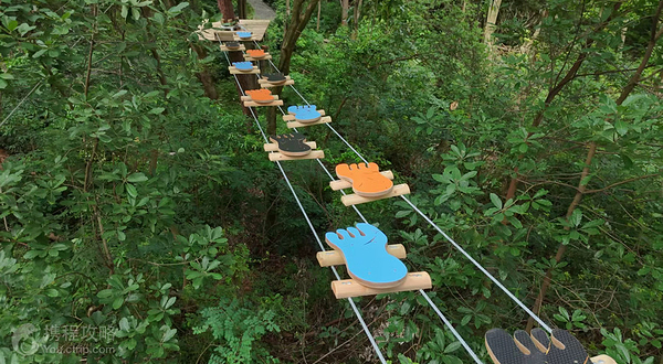 丛林奇遇探险乐园