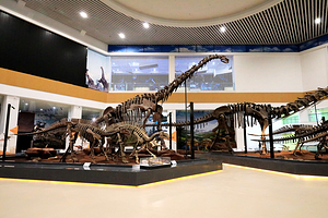 刘家峡恐龙国家地质公园