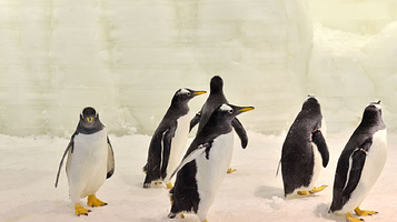 南通森迪冰雪海洋乐园