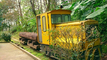 池南国家森林游乐区