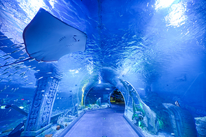 深圳恒远海立方环游城