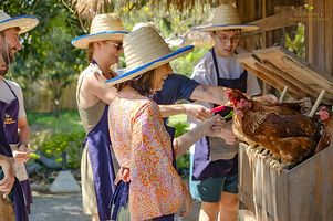 奶奶厨房（泰式料理烹饪厨艺学校）