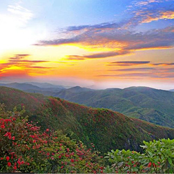 阳明山国家森林公园