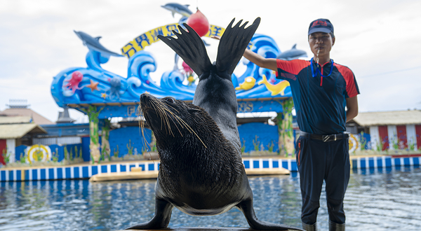 分界洲岛景区-海洋剧场