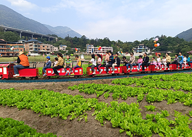 永泰梧桐外温泉旅游度假区