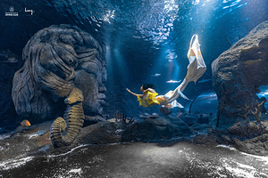 重庆海昌海洋馆